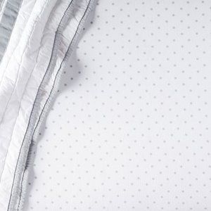 Pottery Barn Kids Luxe Chamois Flannel Crib Fitted Sheet [Pin Dot]